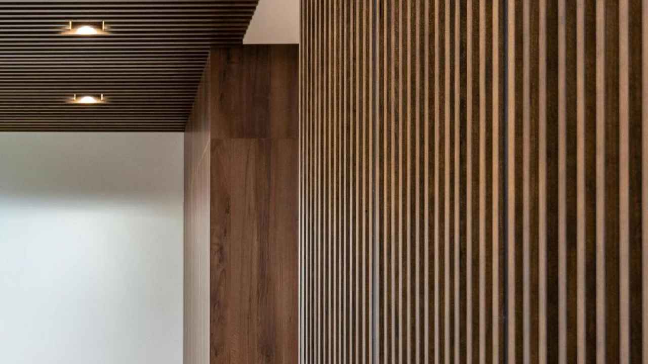 1adelaide-rbis-homepage-timber-pest-inspecton-b